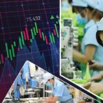 Danh Sách Mã Cổ Phiếu Ngành Dệt May Đáng Quan Tâm Nhất 2025