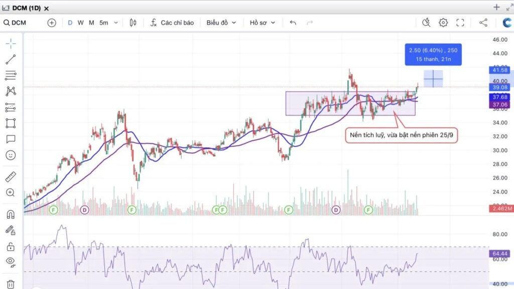 DCM sẽ hưởng lợi trực tiếp nhờ chính sách VAT và khả năng mở rộng xuất khẩu sang các thị trường quốc tế.