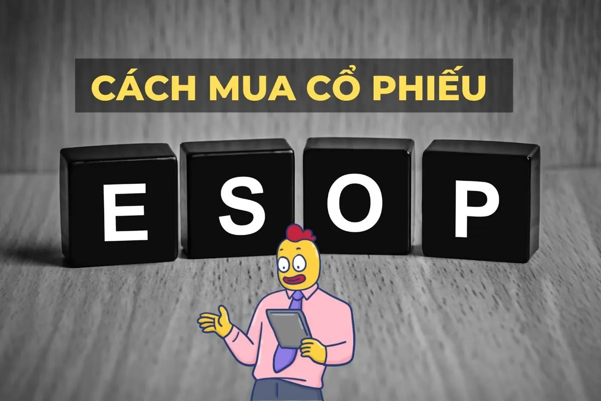  Hình ảnh minh họa cổ phiếu ESOP