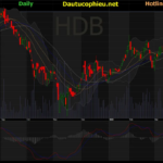 Cổ Phiếu HDB – Liệu Có Tiềm Năng Đầu Tư Trong Năm 2025?