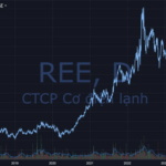 Cổ phiếu REE có nên đầu tư năm 2024 hay không?