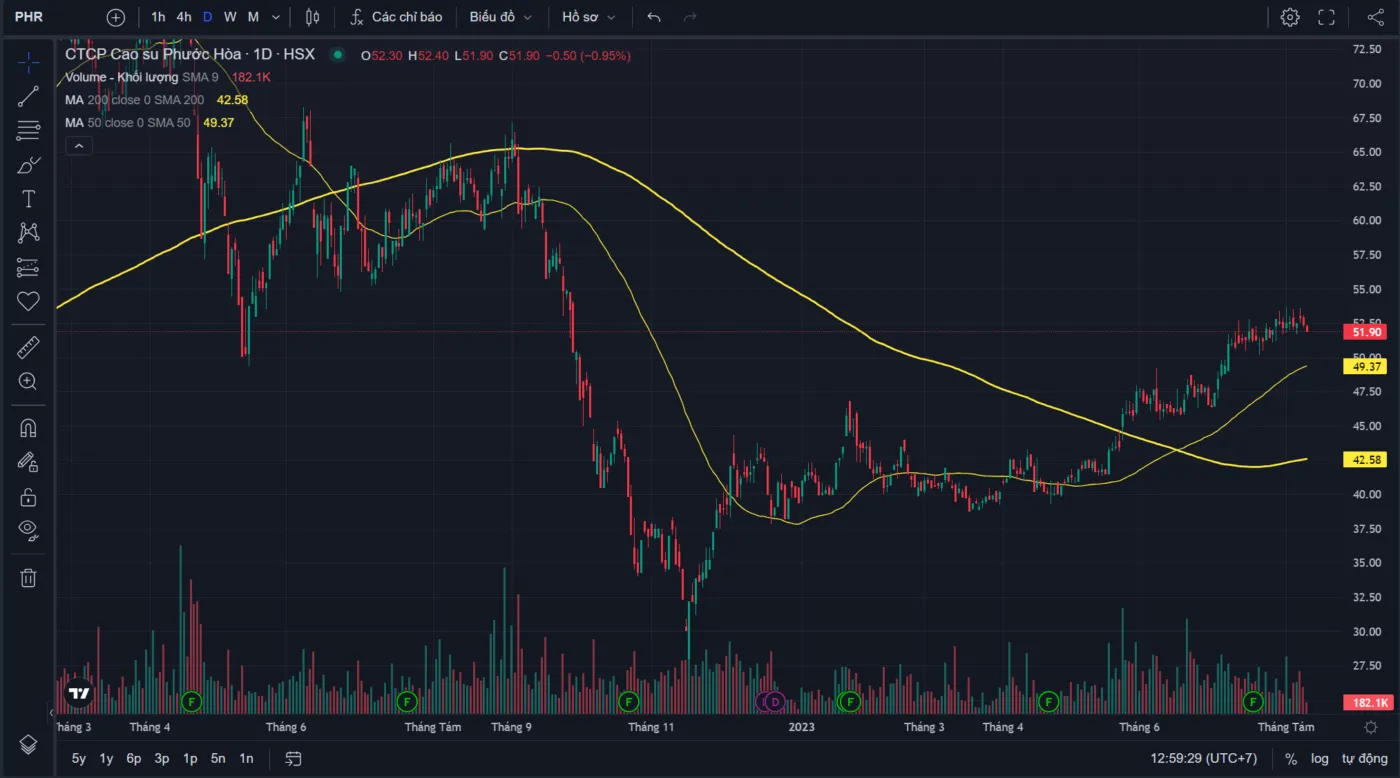Tổng quan về cổ phiếu PHR – Có nên đầu tư trong năm 2025?