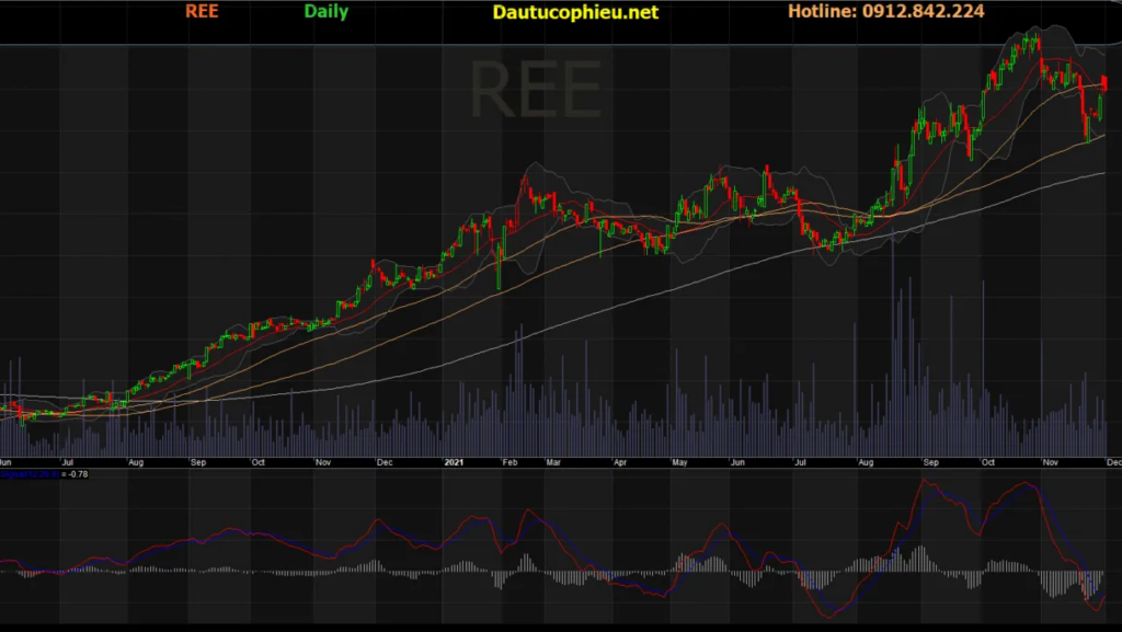 Tại thời điểm 04/03/2024, REE đang giao dịch ở mức 62,200 VNĐ/cp