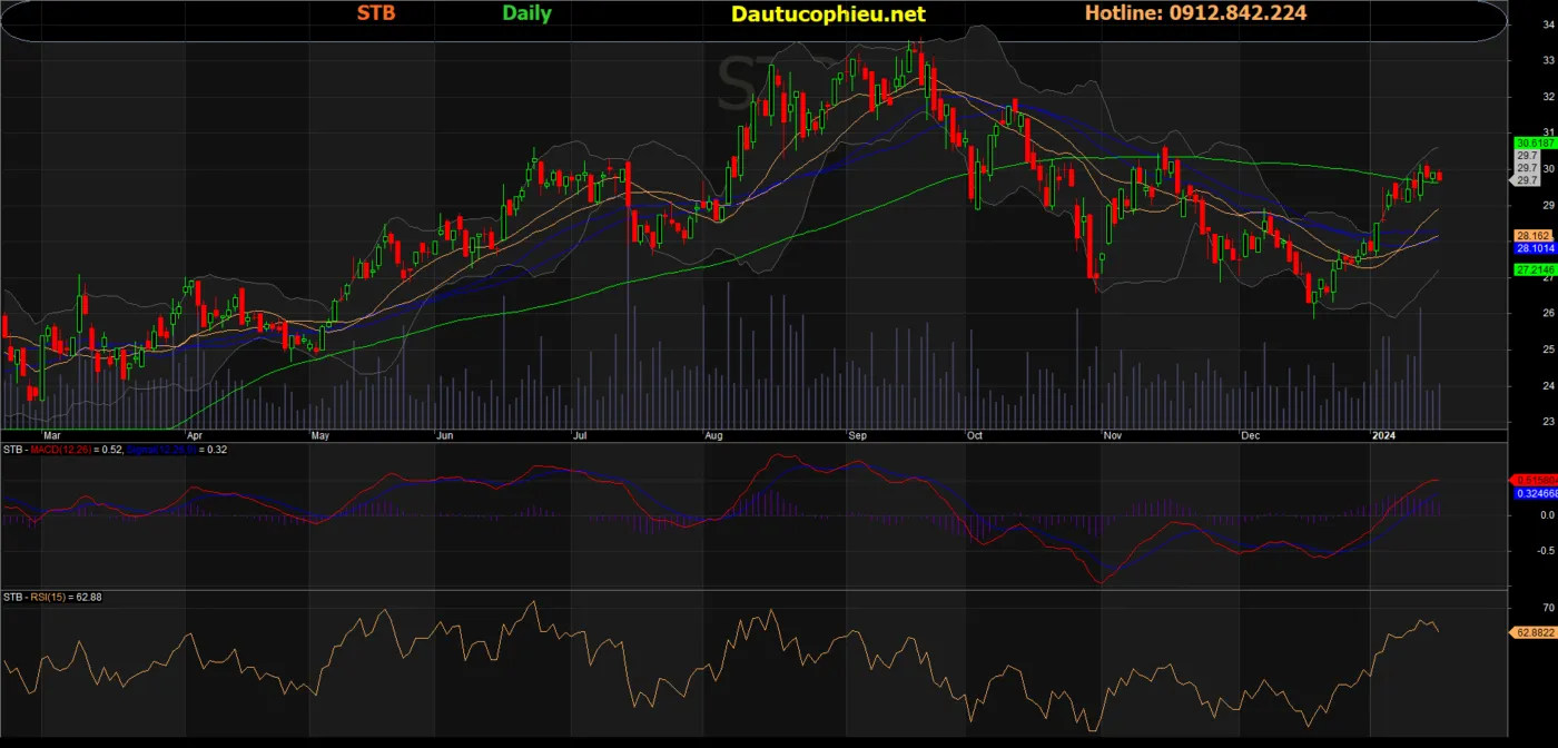 Cổ phiếu STB và Tiềm Năng Đầu Tư Năm 2025