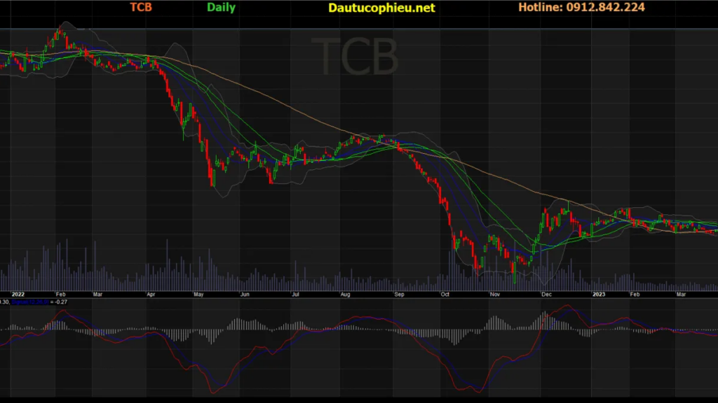 Dựa trên báo cáo tài chính và định giá hợp lý, giá mục tiêu của TCB trong năm 2025 có thể đạt 42.000 - 45.000 VNĐ/cổ phiếu